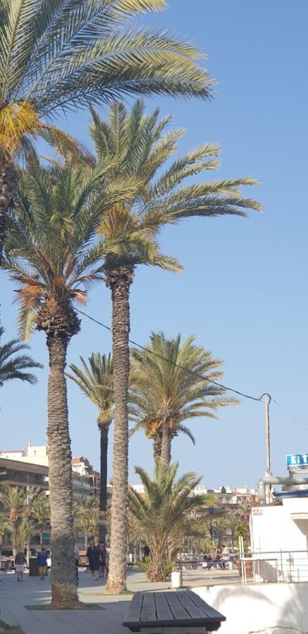Costa Blanka Resident Apartman Torrevieja Bagian luar foto